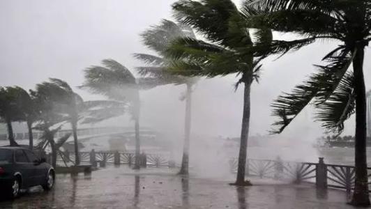 8月臺風雨即將來，除濕機還得用起來