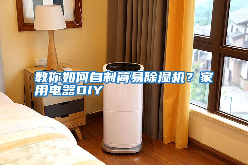 教你如何自制簡易除濕機(jī)？家用電器DIY