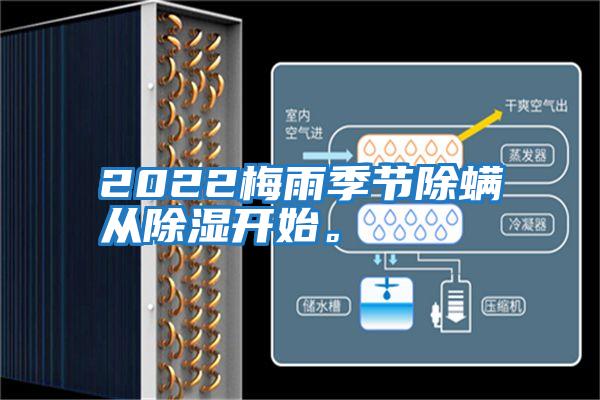 2022梅雨季節(jié)除螨從除濕開始。