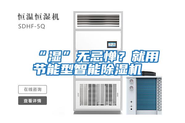 “濕”無忌憚？就用節(jié)能型智能除濕機(jī)