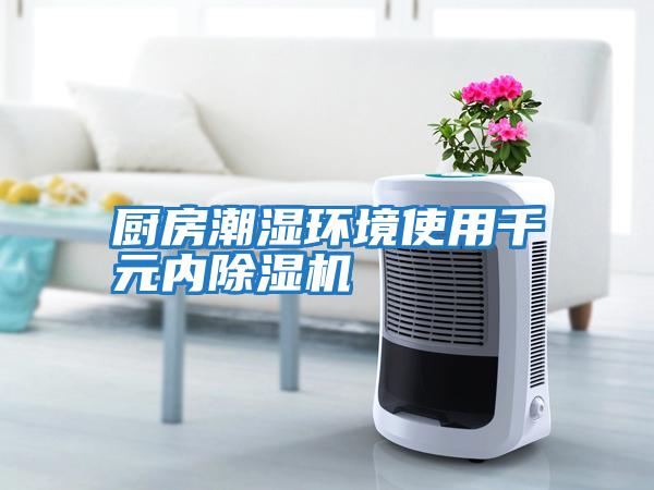 廚房潮濕環(huán)境使用千元內除濕機