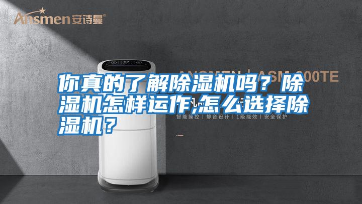 你真的了解除濕機嗎？除濕機怎樣運作,怎么選擇除濕機？