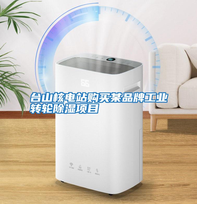 臺(tái)山核電站購(gòu)買某品牌工業(yè)轉(zhuǎn)輪除濕項(xiàng)目