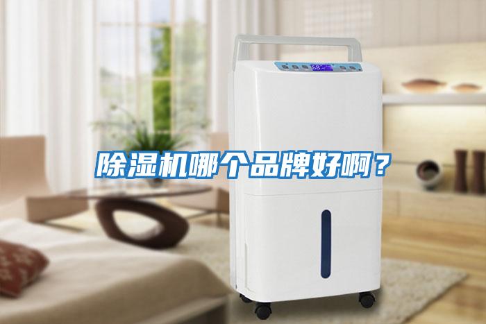 除濕機哪個品牌好?。?></div>
								<div   id=