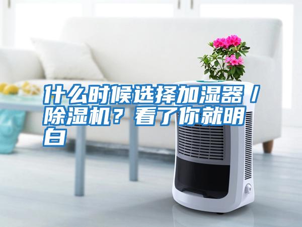 什么時候選擇加濕器／除濕機？看了你就明白