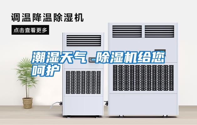 潮濕天氣 除濕機給您呵護