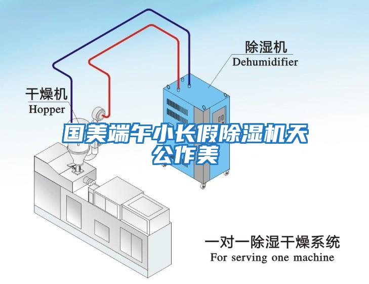 國美端午小長假除濕機(jī)天公作美