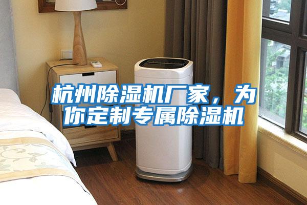 杭州除濕機廠家，為你定制專屬除濕機