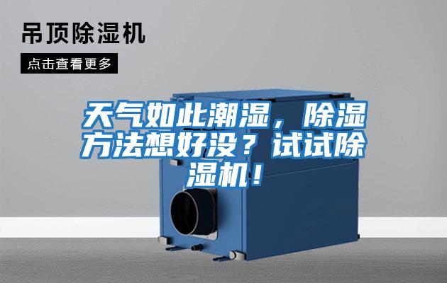 天氣如此潮濕，除濕方法想好沒？試試除濕機(jī)！