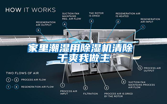 家里潮濕用除濕機(jī)清除 干爽我做主