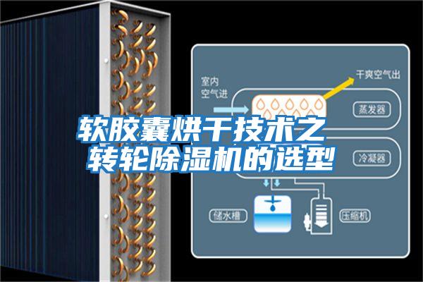軟膠囊烘干技術(shù)之 轉(zhuǎn)輪除濕機的選型