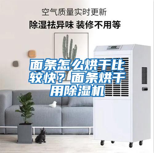 面條怎么烘干比較快？面條烘干用除濕機