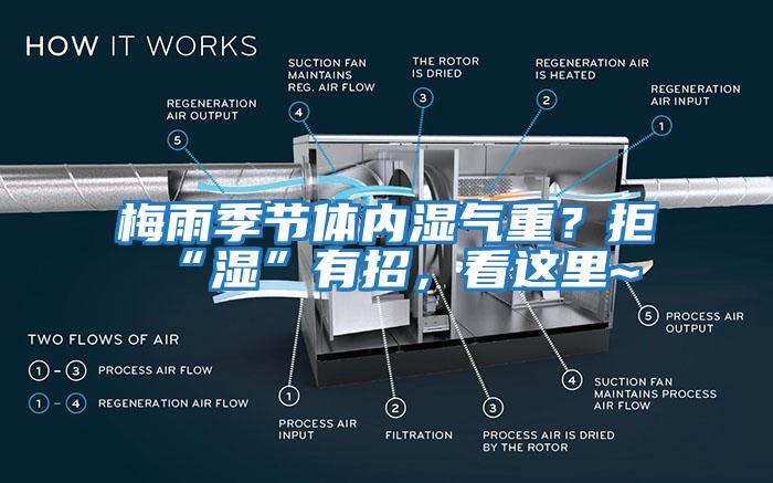 梅雨季節(jié)體內(nèi)濕氣重？拒“濕”有招，看這里~