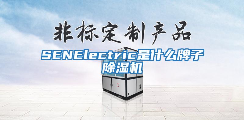 SENElectric是什么牌子除濕機