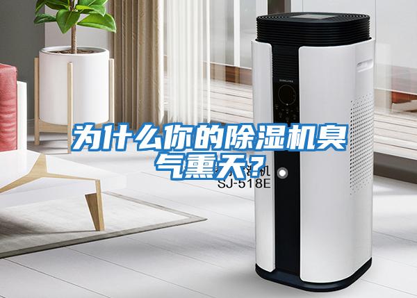 為什么你的除濕機臭氣熏天？