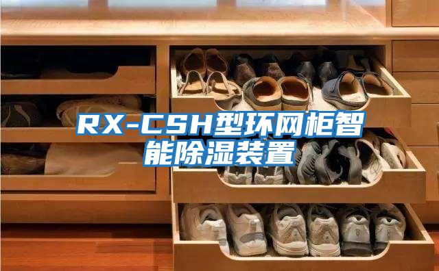 RX-CSH型環(huán)網(wǎng)柜智能除濕裝置