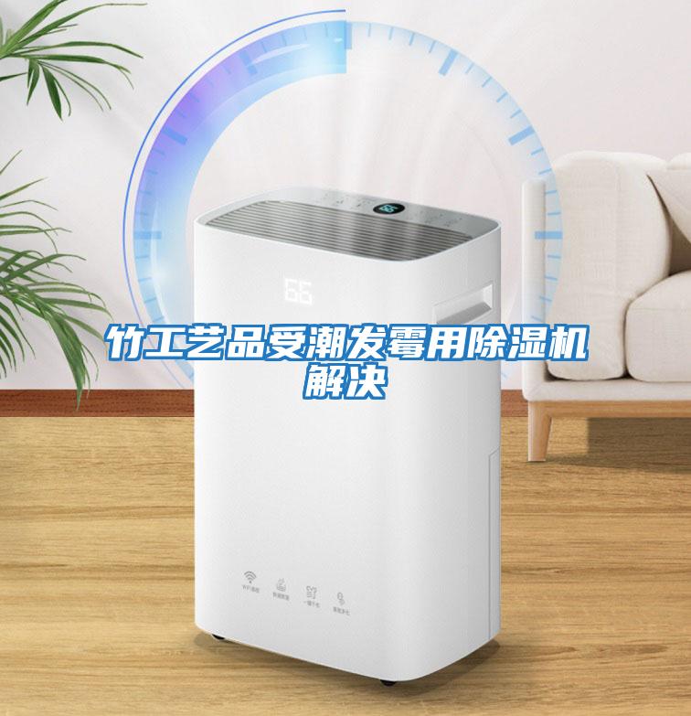 竹工藝品受潮發(fā)霉用除濕機解決