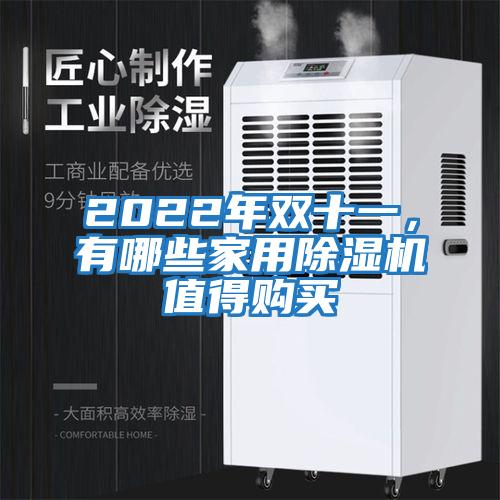 2022年雙十一，有哪些家用除濕機值得購買