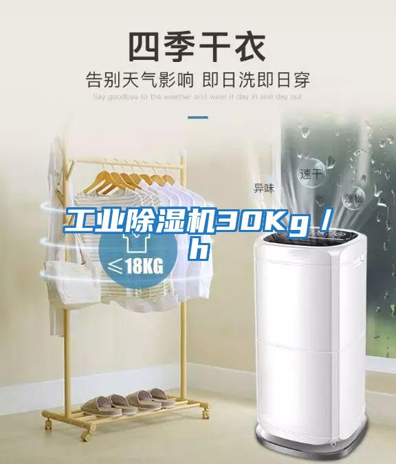 工業(yè)除濕機30Kg／h