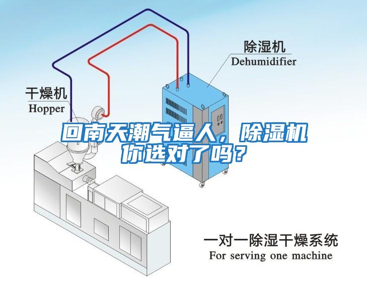 回南天潮氣逼人，除濕機你選對了嗎？