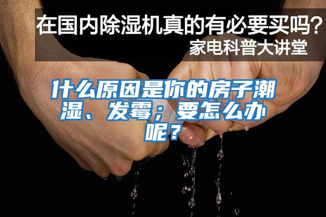 什么原因是你的房子潮濕、發(fā)霉；要怎么辦呢？