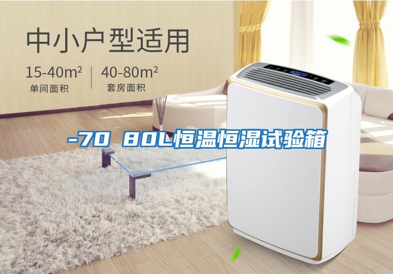 -70℃80L恒溫恒濕試驗箱