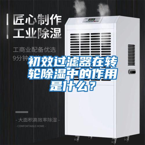 初效過濾器在轉輪除濕中的作用是什么？