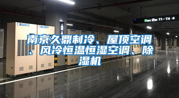 南京久鼎制冷、屋頂空調(diào)、風(fēng)冷恒溫恒濕空調(diào)、除濕機