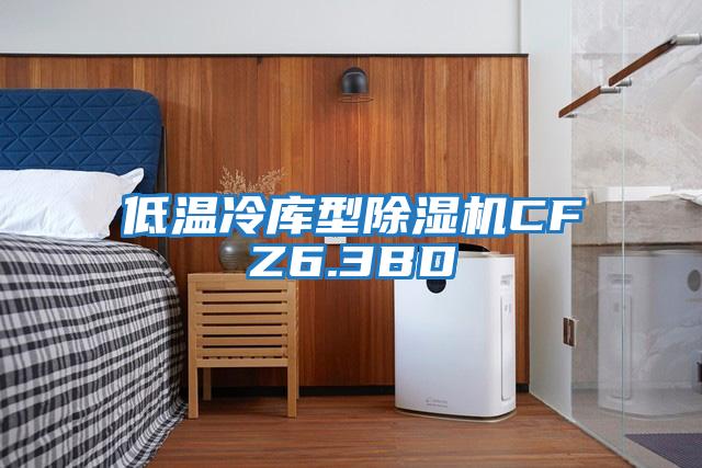 低溫冷庫(kù)型除濕機(jī)CFZ6.3BD