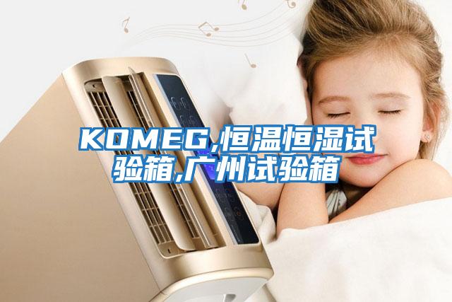 KOMEG,恒溫恒濕試驗箱,廣州試驗箱