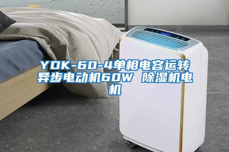 YDK-60-4單相電容運(yùn)轉(zhuǎn)異步電動機(jī)60W 除濕機(jī)電機(jī)