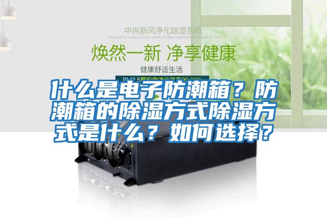 什么是電子防潮箱？防潮箱的除濕方式除濕方式是什么？如何選擇？