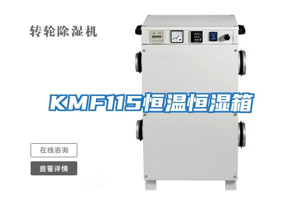 KMF115恒溫恒濕箱