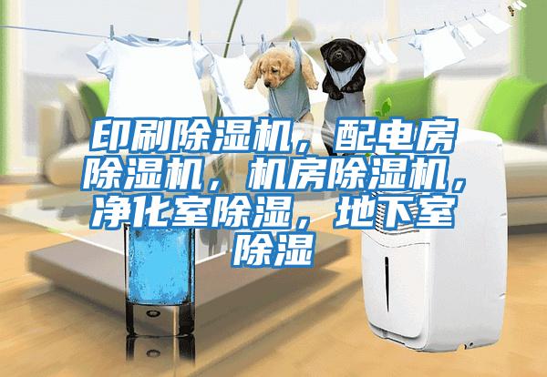 印刷除濕機，配電房除濕機，機房除濕機，凈化室除濕，地下室除濕