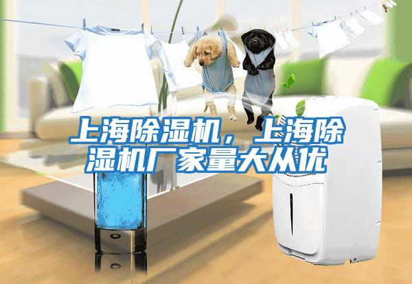 上海除濕機，上海除濕機廠家量大從優(yōu)