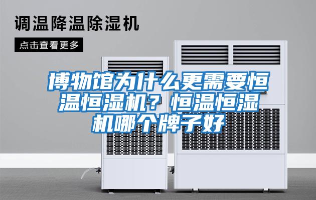 博物館為什么更需要恒溫恒濕機(jī)？恒溫恒濕機(jī)哪個(gè)牌子好