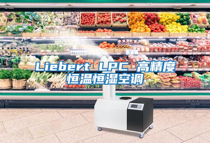 Liebert LPC 高精度恒溫恒濕空調(diào)