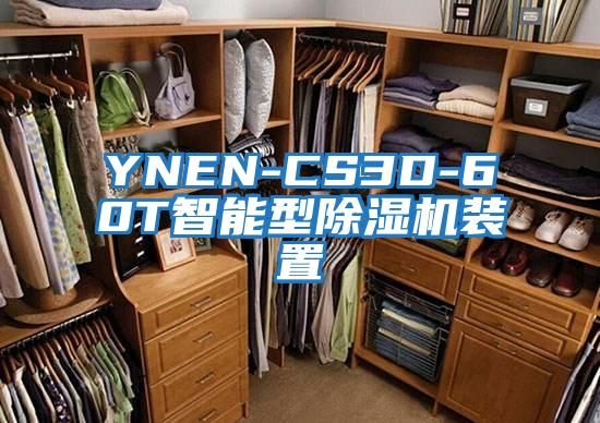 YNEN-CS3D-60T智能型除濕機(jī)裝置