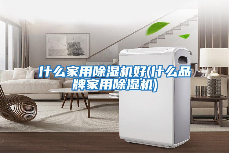 什么家用除濕機(jī)好(什么品牌家用除濕機(jī))