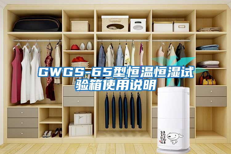 GWGS-65型恒溫恒濕試驗(yàn)箱使用說(shuō)明