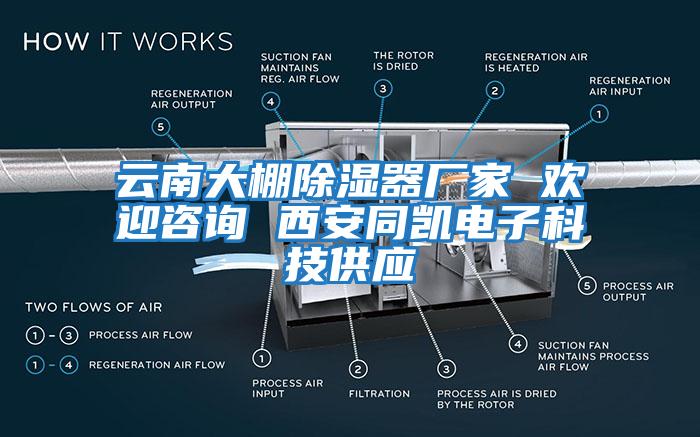 云南大棚除濕器廠家 歡迎咨詢 西安同凱電子科技供應