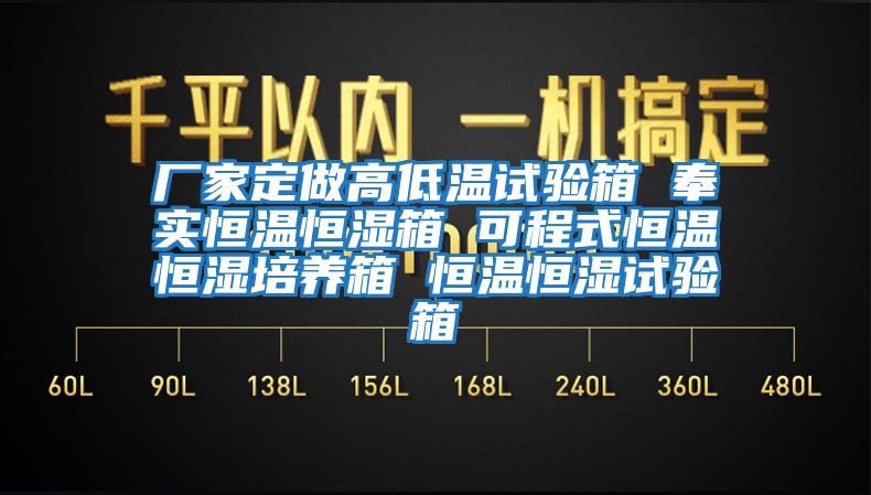 廠家定做高低溫試驗箱 奉實恒溫恒濕箱 可程式恒溫恒濕培養(yǎng)箱 恒溫恒濕試驗箱