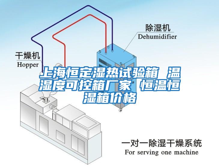 上海恒定濕熱試驗(yàn)箱 溫濕度可控箱廠家 恒溫恒濕箱價(jià)格