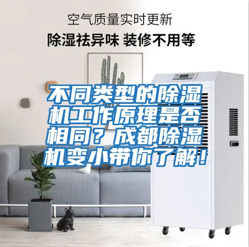 不同類型的除濕機(jī)工作原理是否相同？成都除濕機(jī)變小帶你了解！