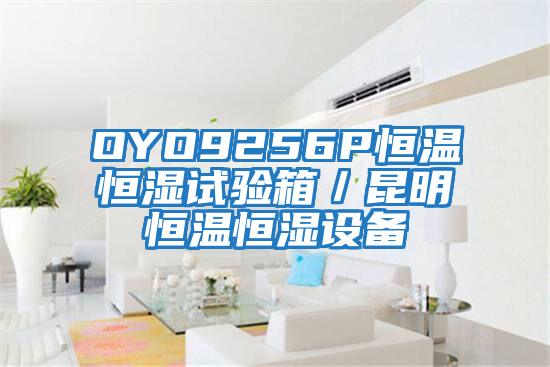 OYO9256P恒溫恒濕試驗(yàn)箱／昆明恒溫恒濕設(shè)備