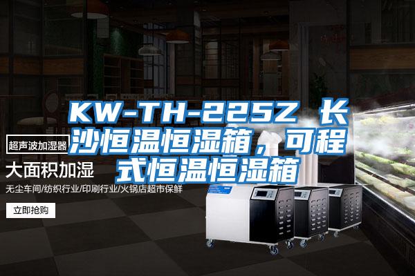 KW-TH-225Z 長沙恒溫恒濕箱，可程式恒溫恒濕箱