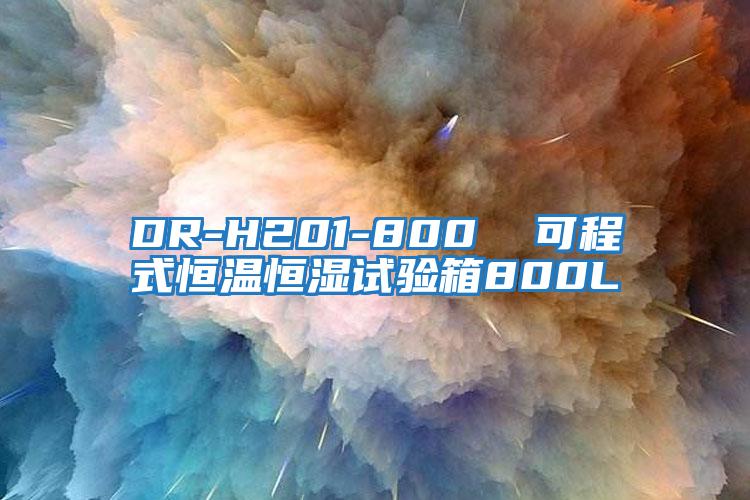 DR-H201-800  可程式恒溫恒濕試驗(yàn)箱800L