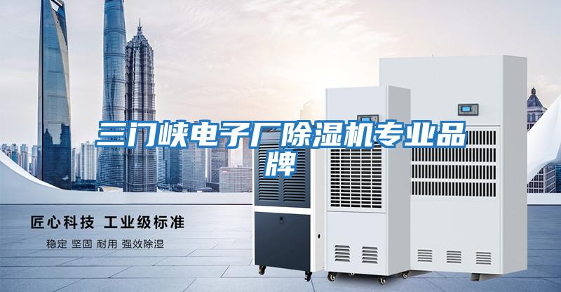 三門峽電子廠除濕機專業(yè)品牌