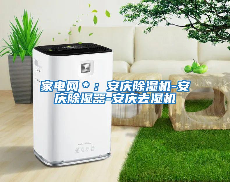 家電網(wǎng)＊：安慶除濕機-安慶除濕器-安慶去濕機