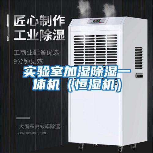 實驗室加濕除濕一體機（恒濕機）